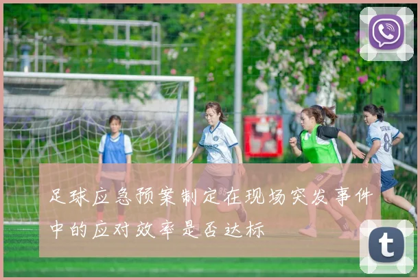 足球应急预案制定在现场突发事件中的应对效率是否达标